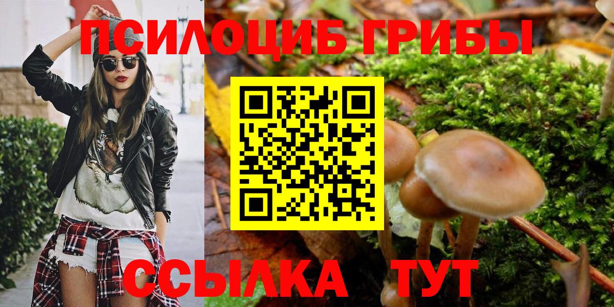 Усть-Илимск  Галлюциногенные грибы прущие грибы  Вход с VPN  где купить   Галлюциногенные грибы ЛСД 